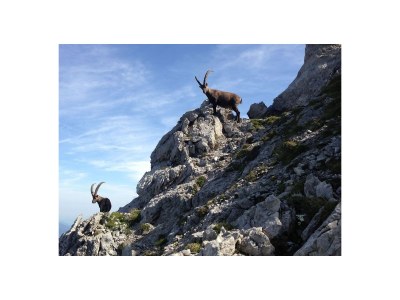 Holiday apartment Otto Fritz Guesthouse: Apartment No. 2 - Environment photo 17