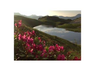 Holiday apartment Otto Fritz Guesthouse: Apartment No. 2 - Environment photo 18