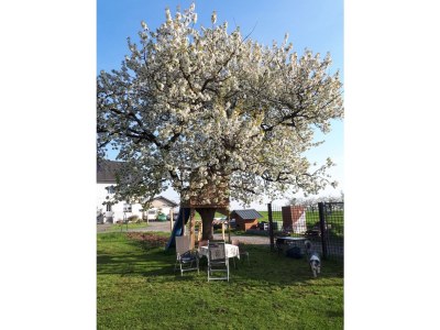 Holiday apartment Tankstopp (Fuel Stop) - Outdoor photo 6