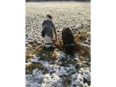 Holiday apartment Tankstopp (Fuel Stop) - Environment photo 30