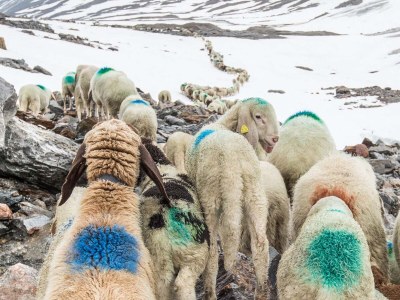 Holiday apartment Cirna - Environment photo 25