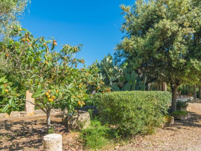 Villa Can Mostatxet - Outdoor photo 29