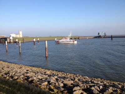 Holiday apartment Büsum Westerdeichstrich - Environment photo 19