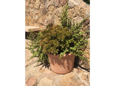 Villa Ludwig - Outdoor photo 15