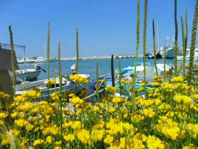 Villa Casa Nova - Environment photo 17