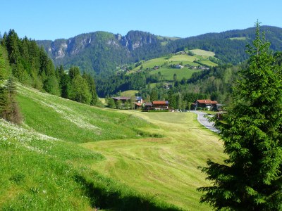 Holiday house Kampe - Outdoor photo 4
