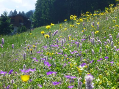 Holiday house Kampe - Document photo 28