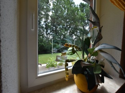 Holiday house Ferienhaus in Damshagen mit Sauna - Features photo 22