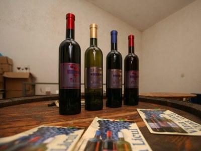 Holiday house Villa Licul - Environment photo 22