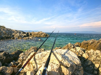 Holiday house Villa Licul - Environment photo 32