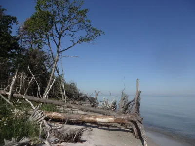 Holiday house Bloom 1 - Environment photo 16