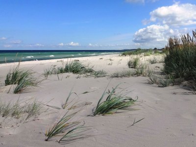 Holiday house Bloom 1 - Environment photo 17