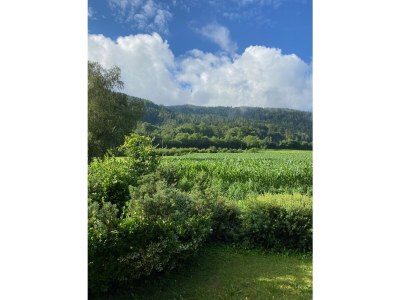 Holiday house Goeritzer - Outdoor photo 13