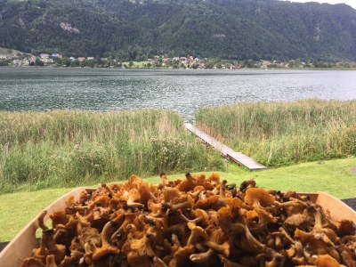 Holiday house Goeritzer - Outdoor photo 15