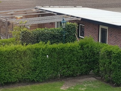 Holiday apartment Duinzicht - Outdoor photo 2