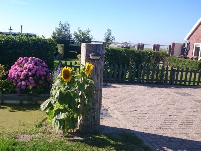 Holiday apartment Duinzicht - Outdoor photo 3