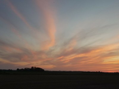 Holiday apartment Duinzicht - Outdoor photo 7