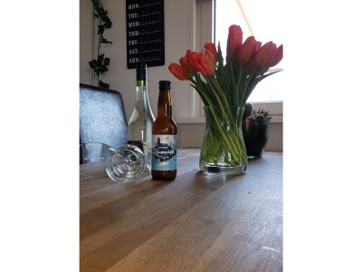 Holiday apartment Duinzicht - Features photo 16