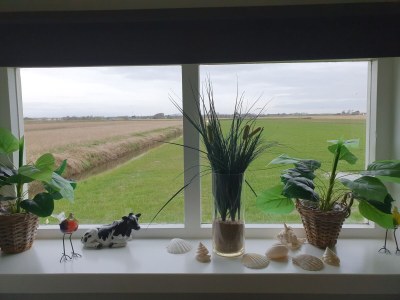 Holiday apartment Duinzicht - Features photo 23