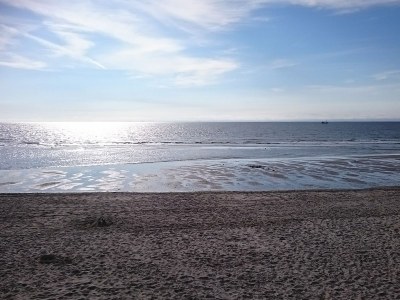 Holiday apartment Duinzicht - Environment photo 29