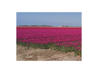 Holiday apartment Duinzicht - Environment photo 33