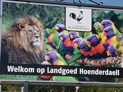 Holiday apartment Duinzicht - Environment photo 35