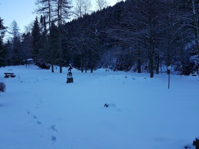 Holiday house Großzügiger Hafen in Wildemann - Environment photo 34