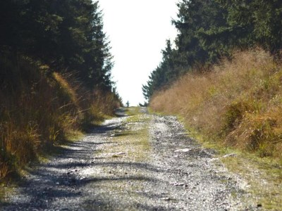 Apartment Wohnung in nahe Harzwald - Environment photo 16