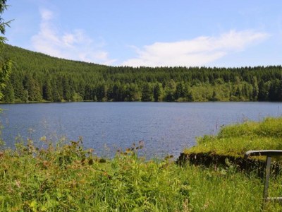 Apartment Wohnung in nahe Harzwald - Environment photo 18