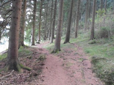 Apartment Wohnung in nahe Harzwald - Environment photo 20