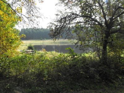 Apartment Wohnung in nahe Harzwald - Environment photo 25