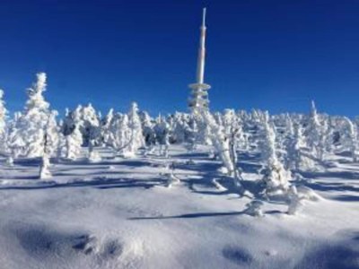 Apartment Wohnung in nahe Harzwald - Environment photo 28