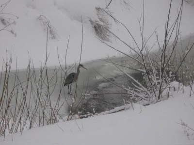 Apartment Wohnung in nahe Harzwald - Environment photo 29