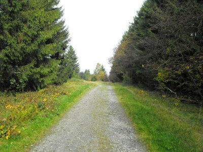 Apartment Wohnung in nahe Harzwald - Environment photo 32