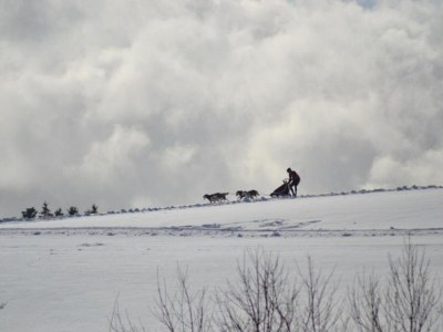 Apartment Wohnung in nahe Harzwald - Environment photo 34