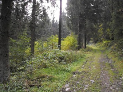 Apartment Wohnung in nahe Harzwald - Environment photo 36