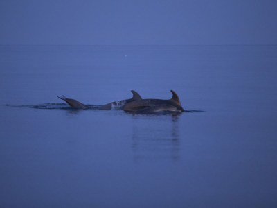 Holiday apartment Iris 1 - Environment photo 17