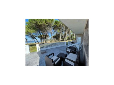 Apartment Apartment with Ocean Terrace - Outdoor photo 5