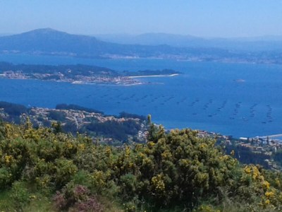 Apartment Apartment with Ocean Terrace - Environment photo 20