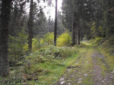 Apartment Ferienwohnung in Wildemann - Environment photo 27