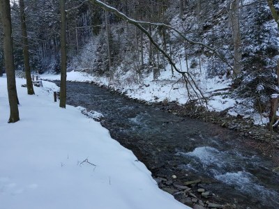 Apartment Ferienwohnung in Wildemann - Outdoor photo 38