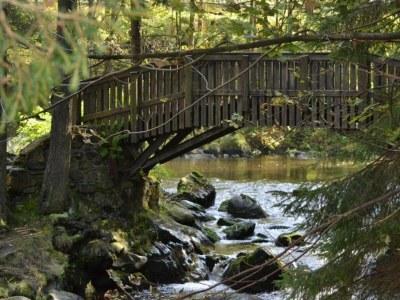 Apartment Ferienwohnung im Oberharz in Wildemann - Environment photo 28
