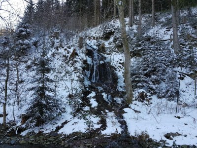 Apartment Ferienwohnung im Oberharz in Wildemann - Environment photo 29