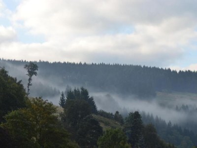 Apartment Ferienwohnung im Oberharz in Wildemann - Environment photo 37