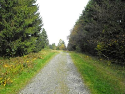 Apartment Ferienwohnung im Oberharz in Wildemann - Environment photo 39