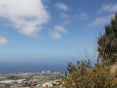 Holiday apartment Brillante- South Tenerife - Environment photo 12