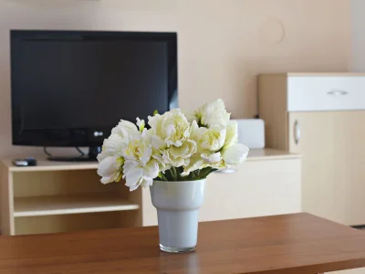 Holiday house Dora - Features photo 23