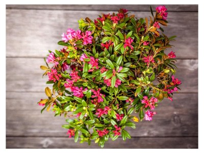 Holiday apartment Residence Schnatzhof - Outdoor photo 7