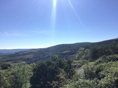 Villa Tranquil Vineyard Villa, Berlou - Outdoor photo 4
