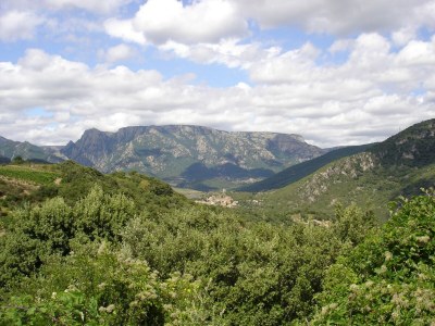 Villa Tranquil Vineyard Villa, Berlou - Environment photo 33